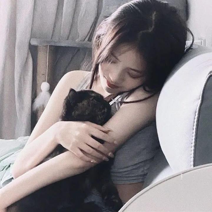 我的老婆是只猫海报