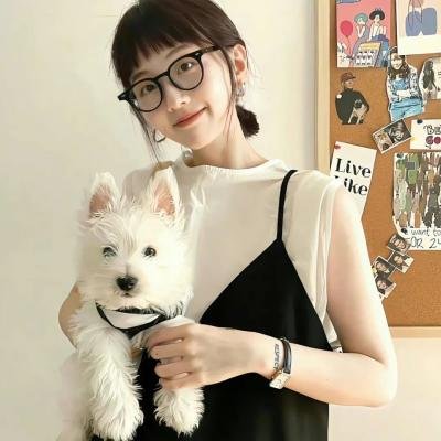 八面玲珑的申小姐海报